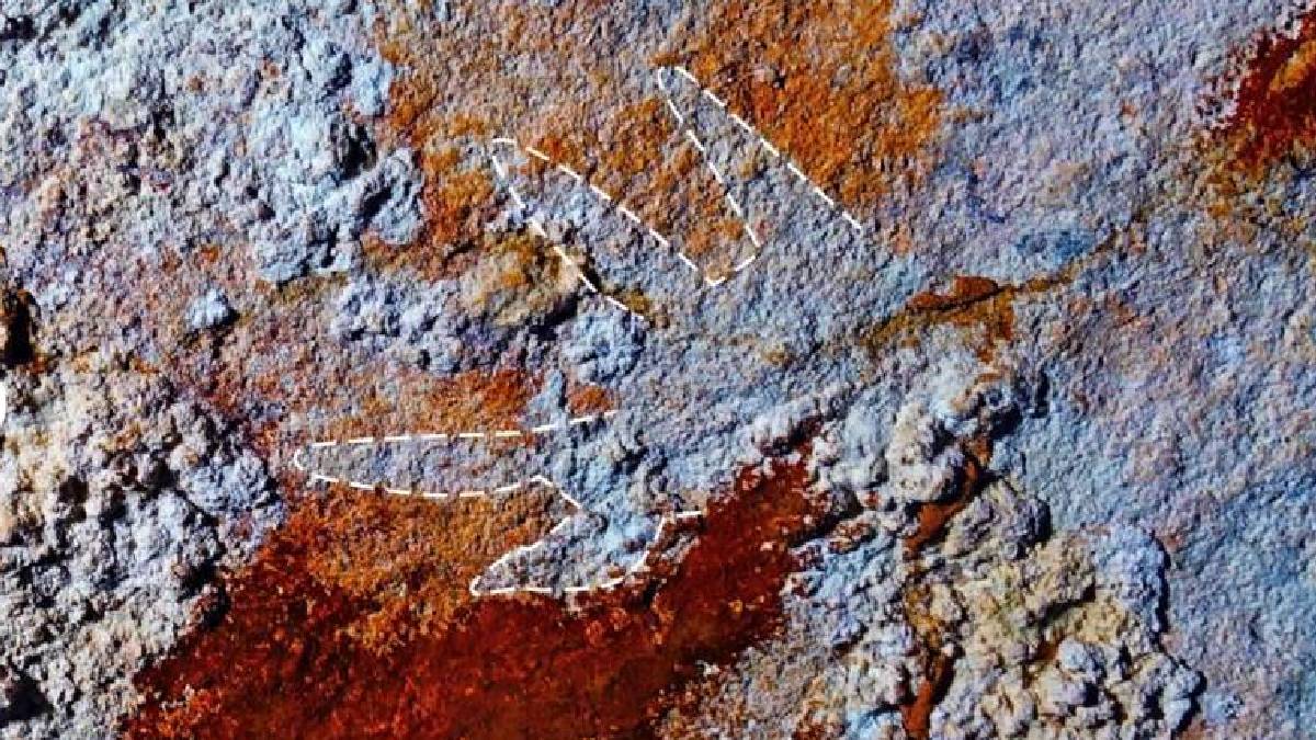 Endonezya’da 67 bin 800 yıllık “kırmızı pençeli el” keşfi: Tarihin bilinen en eski mağara resmi