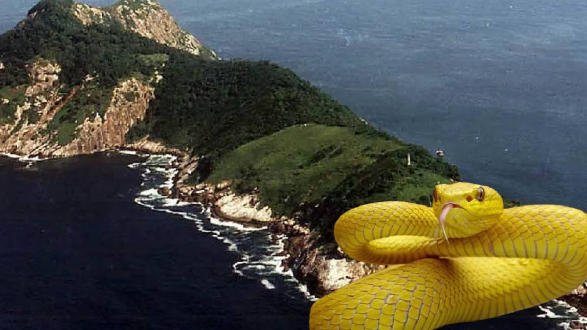 Dünyanın en tehlikeli adası: Yaşamın ve ölümün sınırı