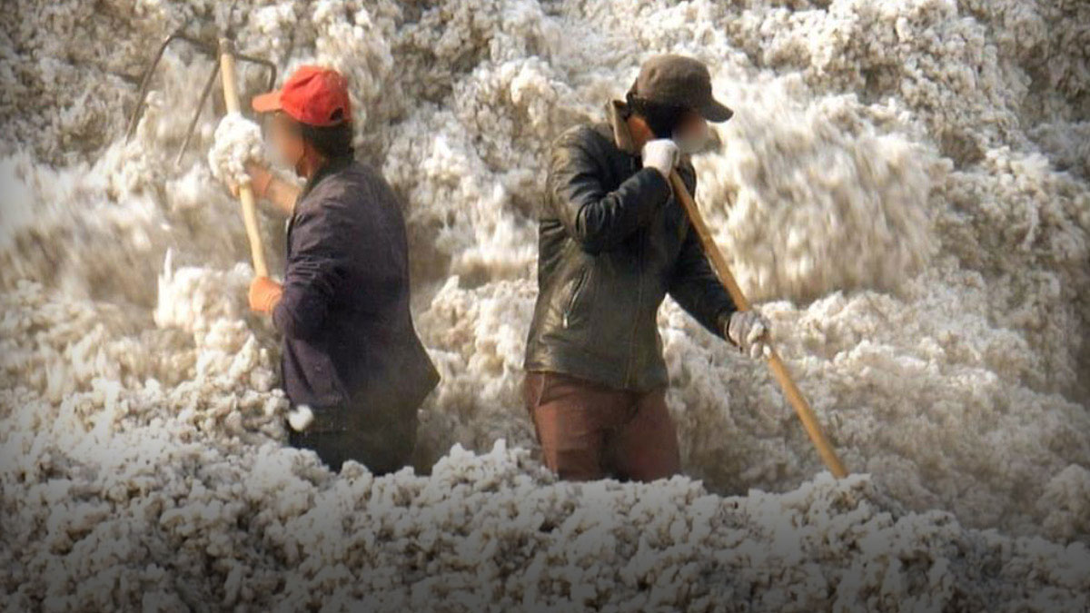 BM’den Çin’e ‘zorla çalıştırma’ uyarısı: İnsanlığa karşı suç kapsamına girebilir