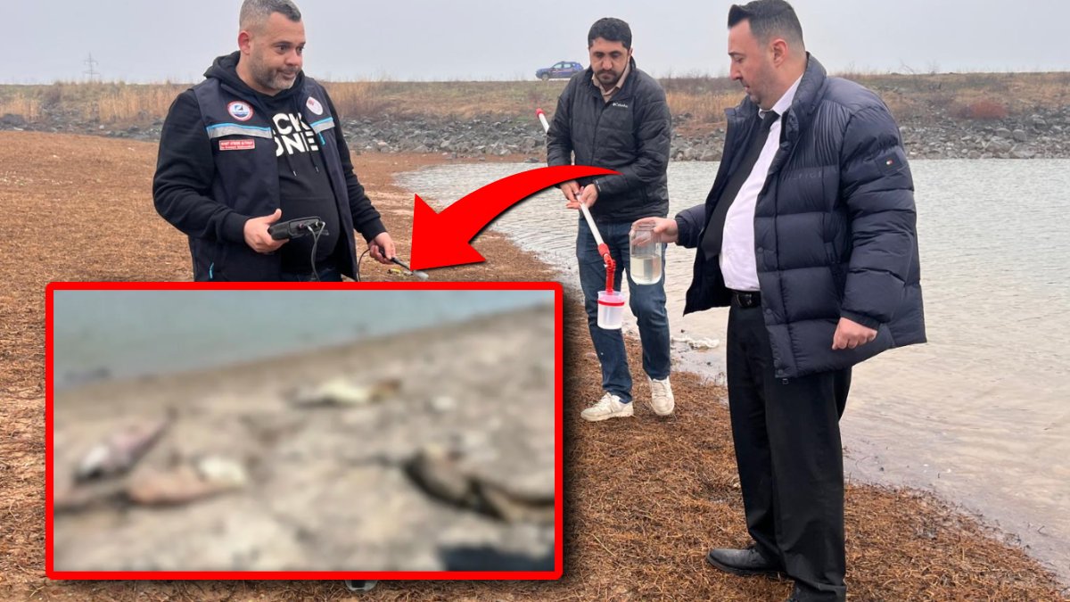 Tekirdağ'da korkutan balık ölümleri: Temrezli Göleti alarm veriyor!
