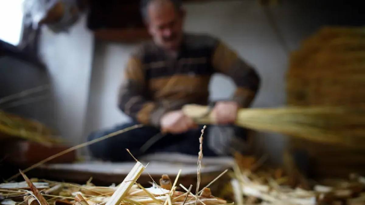 Coğrafi işareti var ama artık değeri yok! Bir zamanların olmazsa olmazıydı: Tanesi 150 TL’den anca alıcı buluyor