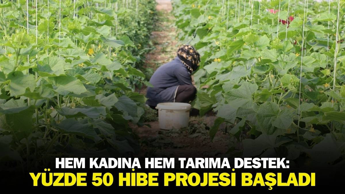 Devletten kadınlara tam destek! Yüzde 50 hibe desteği veriyor, hem kadını hem tarımı destekliyor