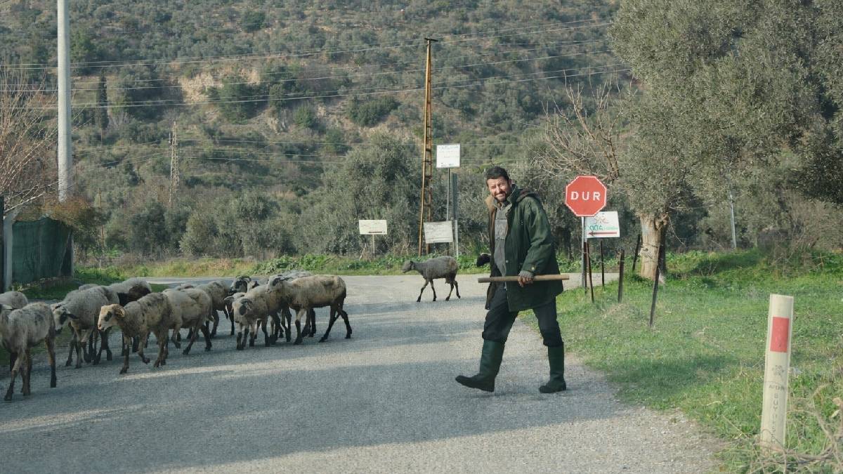Doğu’da kapalı alanda kalan koyunlar burada doğaya salındı! Sıcaklık arttı koyunların doğal ortamla buluşması başladı