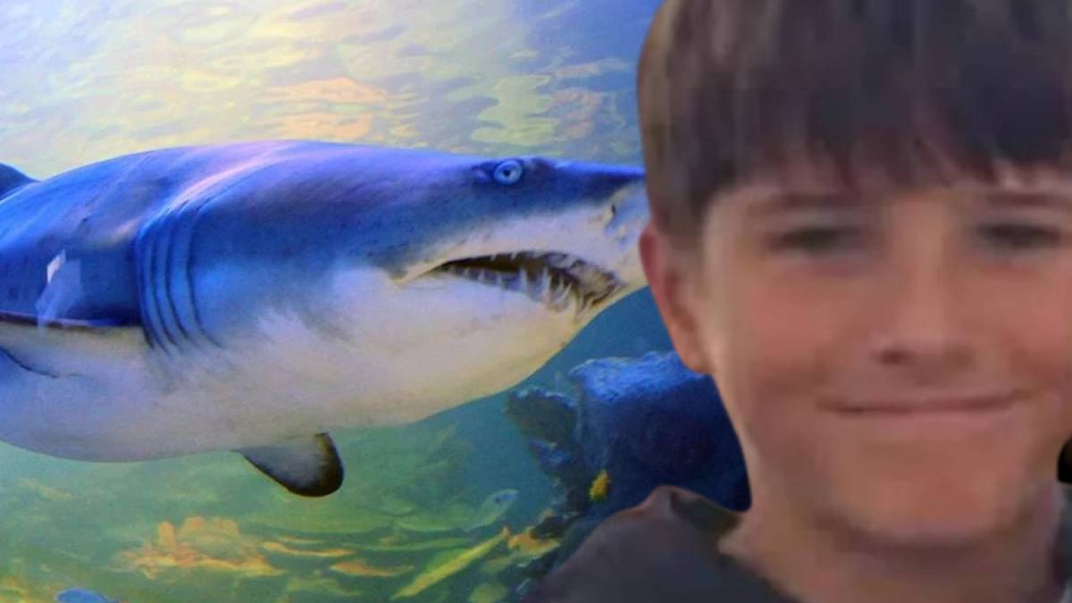 Avustralya’da köpekbalığı dehşeti: 12 yaşındaki çocuk yaşamını yitirdi