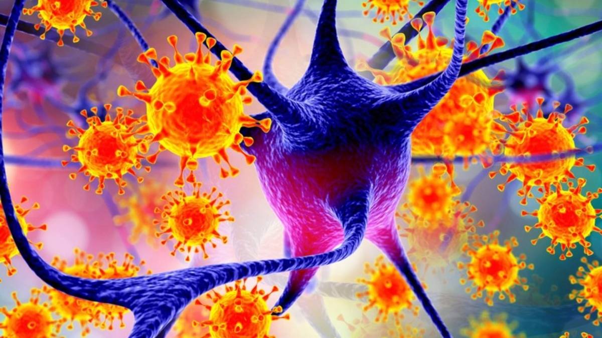 Dünyayı alarma geçiren yeni virüs! DSÖ kritik uyarıda bulundu: Nipah virüsü yayılmaya başladı