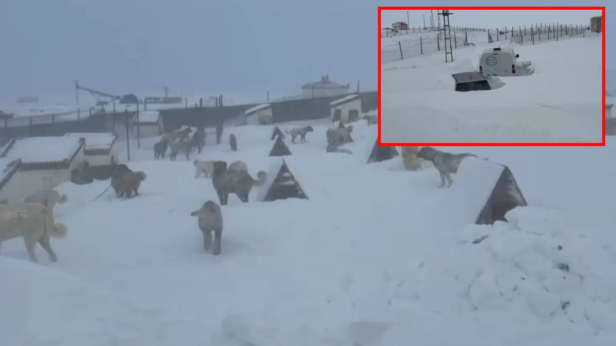 Hayvanlarına gitmek için yola çıktı gördüğü manzara karşısında şok oldu! Kar kalınlığı “yok artık” dedirtti