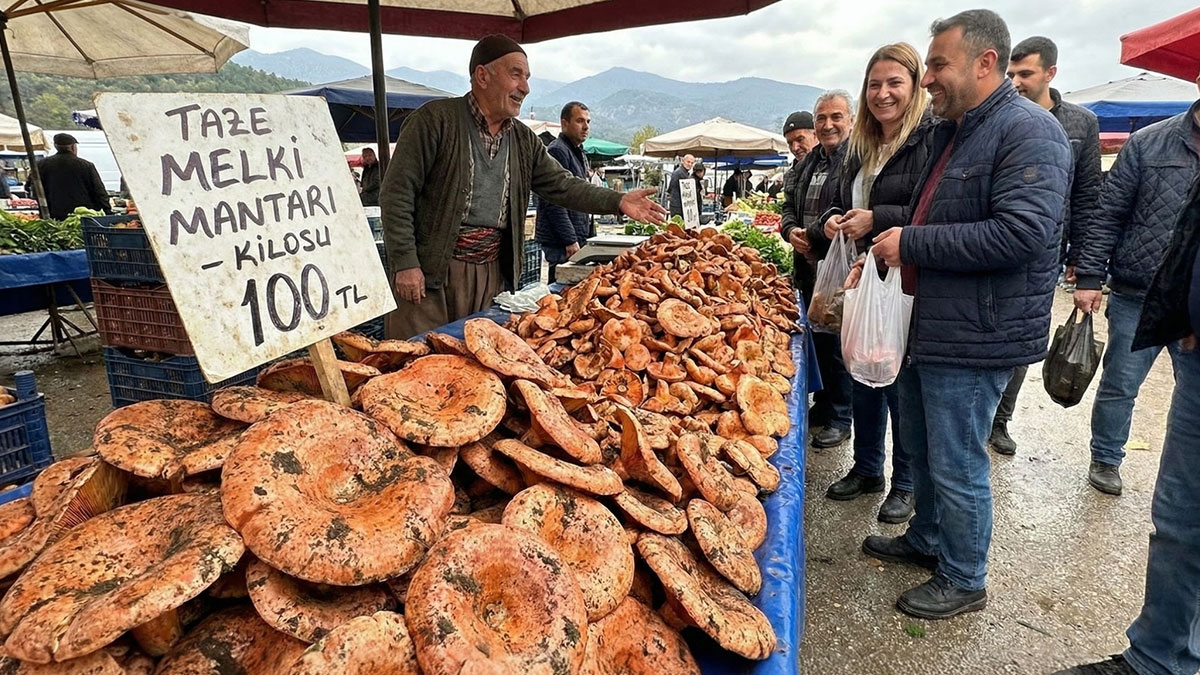 Dağlardan bereket fışkırdı, köylünün yüzü güldü! Kilosu 100 TL'ye kadar düştü