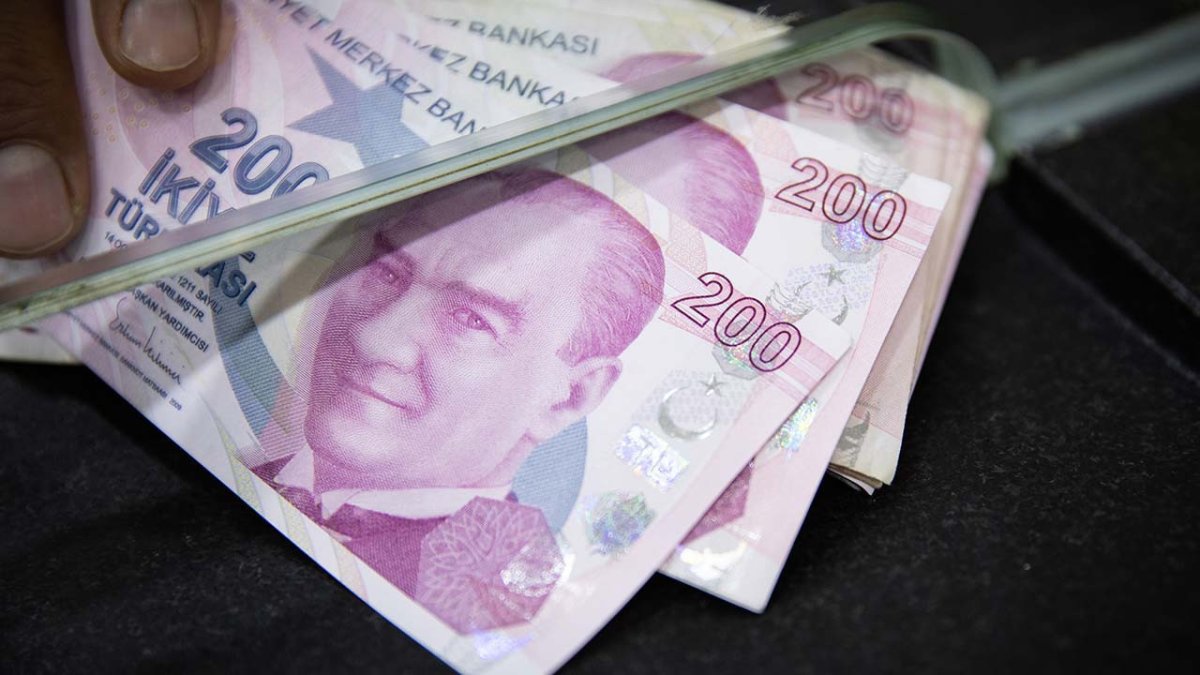 200 TL’nin değeri 131 dolardan 4,6 dolara düştü