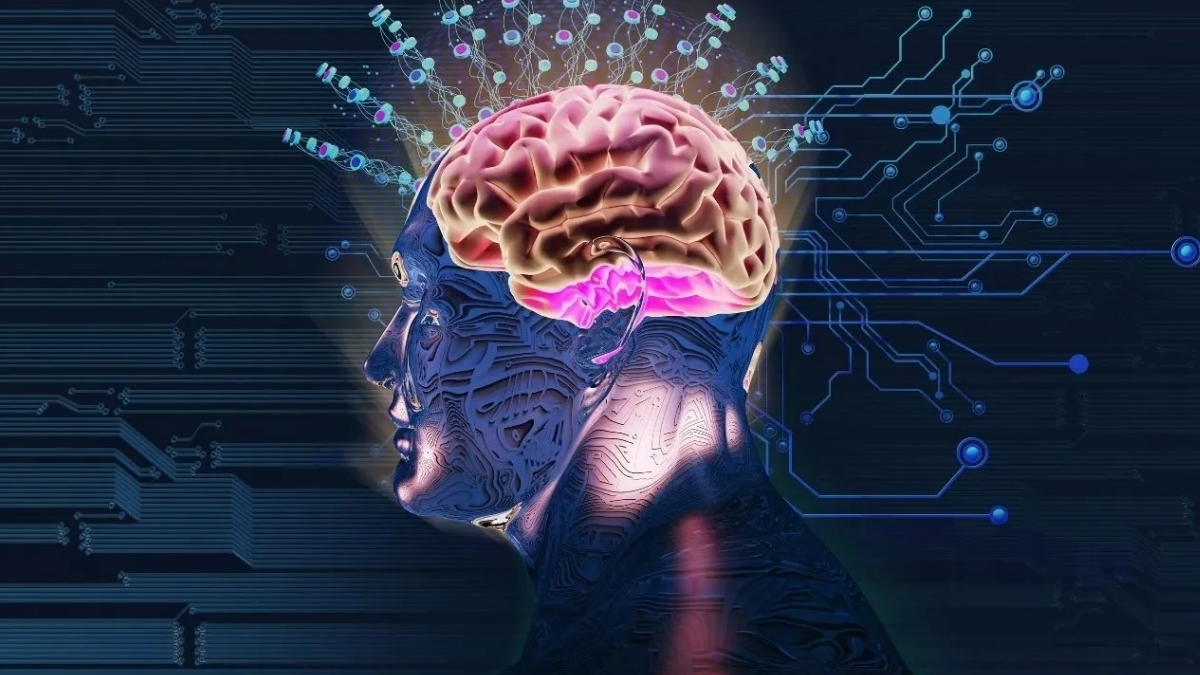 Çağın hastalığına meydan okuyor! Bu besinleri tüketenin hafızası güçleniyor: Beyin dostu 8 besin