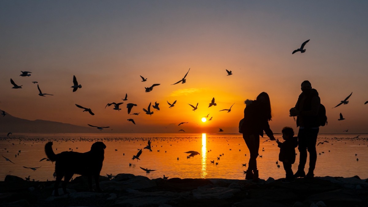 Karşıyaka’da “Kardeş Kadrajlar” uluslararası fotoğraf yarışması başvuruları açıldı