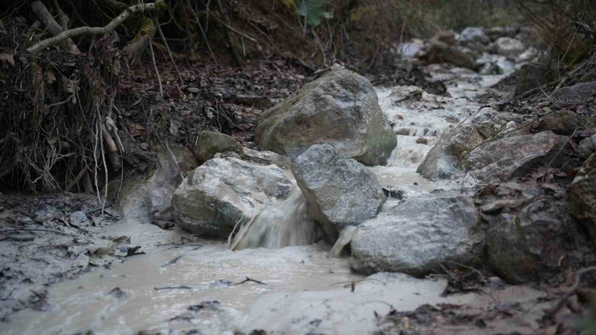 Bursa'da çevre felaketi: Maden atık barajı çöktü, tonlarca kimyasal doğaya karıştı
