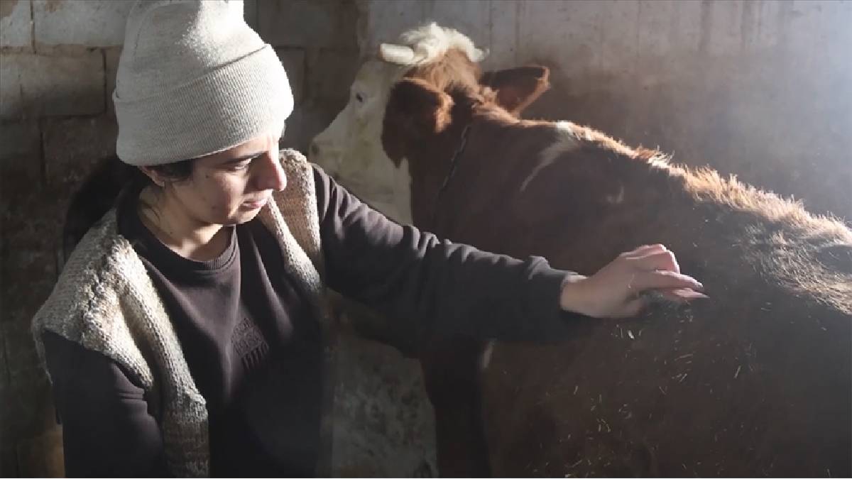 Yüzde 100 hibe aldı, 2 gebe inekle mesleğe başladı! Desteği yatırımı oldu: 10 büyükbaş, 150 küçükbaşla örnek oluyor