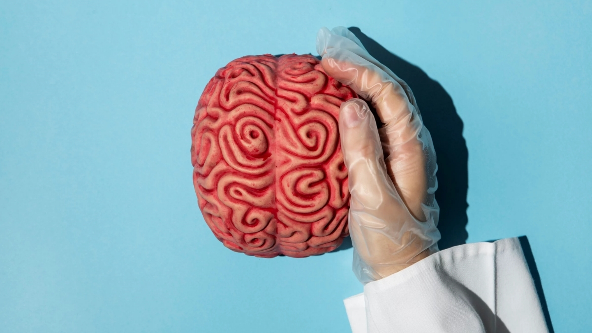 Hafızayı diri tutmanın yolu bu meyveden geçiyor! Nöroloji doktoru tavsiye etti: “Yaşlanmayı engelliyor”