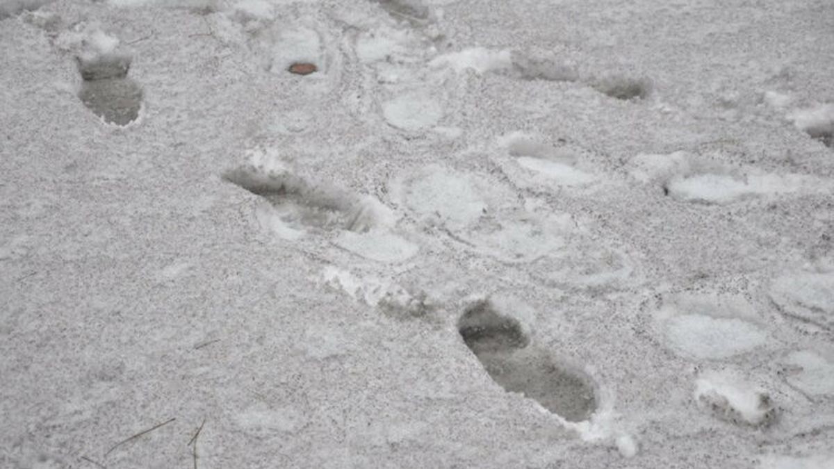 "Dünyada kar bir tek o ilimizde 'siyah' yağıyor": Milletvekili o görüntüleri paylaştı