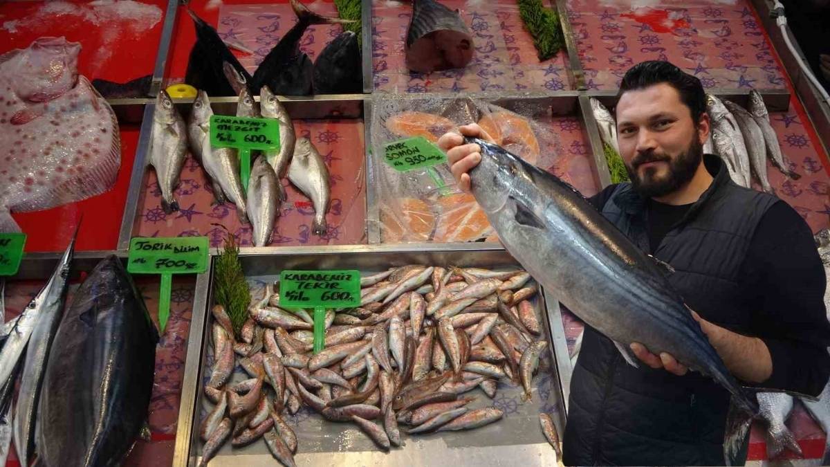 Balıkçıların en sevdiği tür! Tezgahlarda yerini aldı, ilgi arttı: Kilosu 700 liradan satılıyor