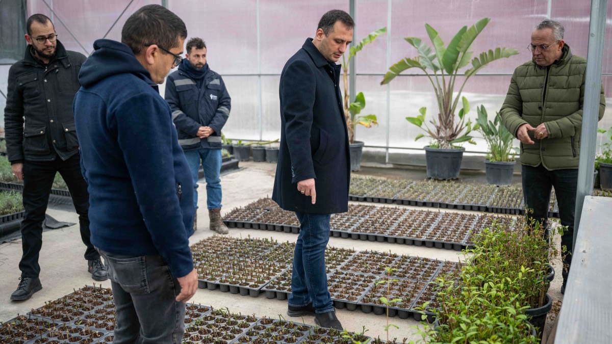 Bornova’da park ve yeşil alanlar için binlerce fidan yetiştiriliyor