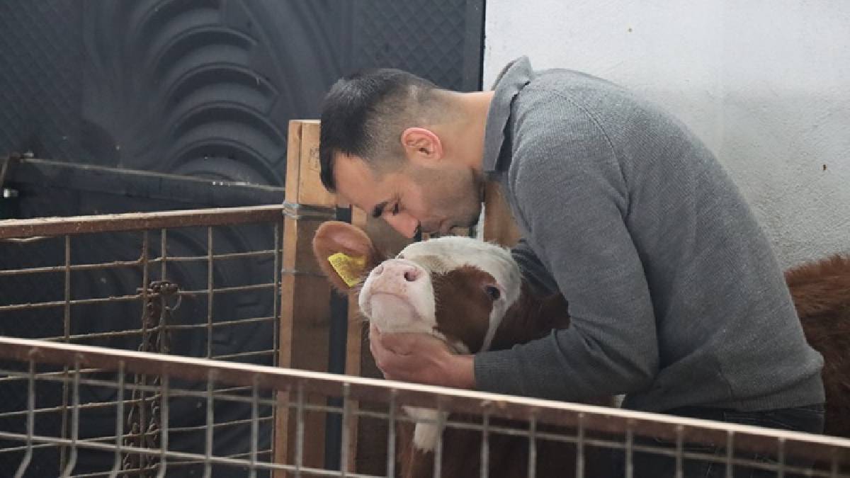 10 dönüm üzerine 15 milyonluk yatırımla işletmesini kurdu! 32 yaşında gelen başarı: Gelenekselden modern üretime geçti