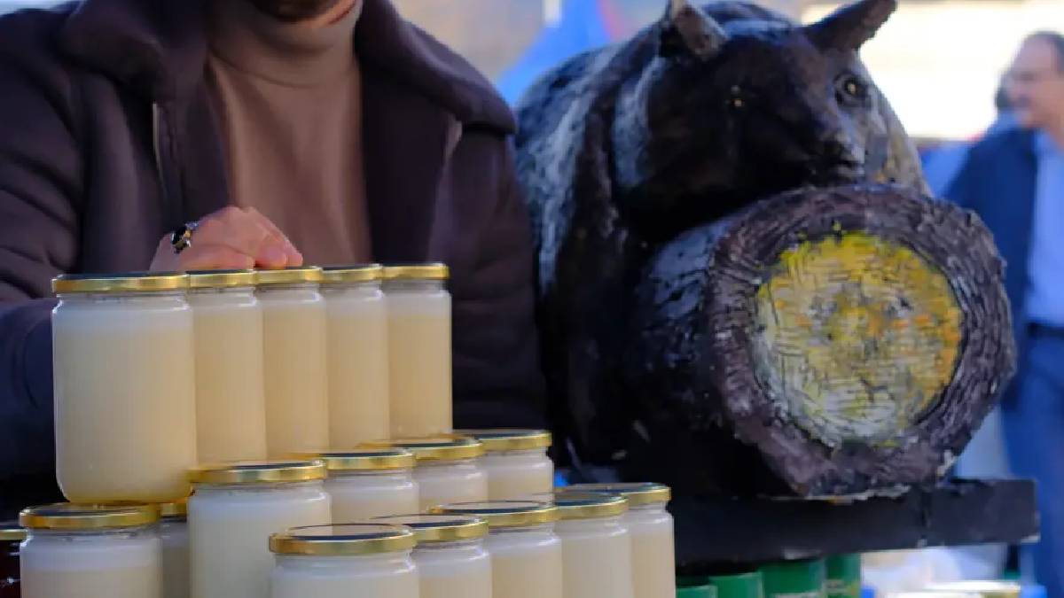 Hem öksürüğü kesiyor hem zinde tutuyor! Düzce’den gelen şifa kaynağı: Fazlası ise zarar veriyor