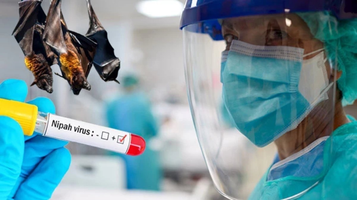 Kovid'den 5 kat daha ölümcül: DSÖ açıkladı! Nipah virüsü Türkiye'ye gelir mi?