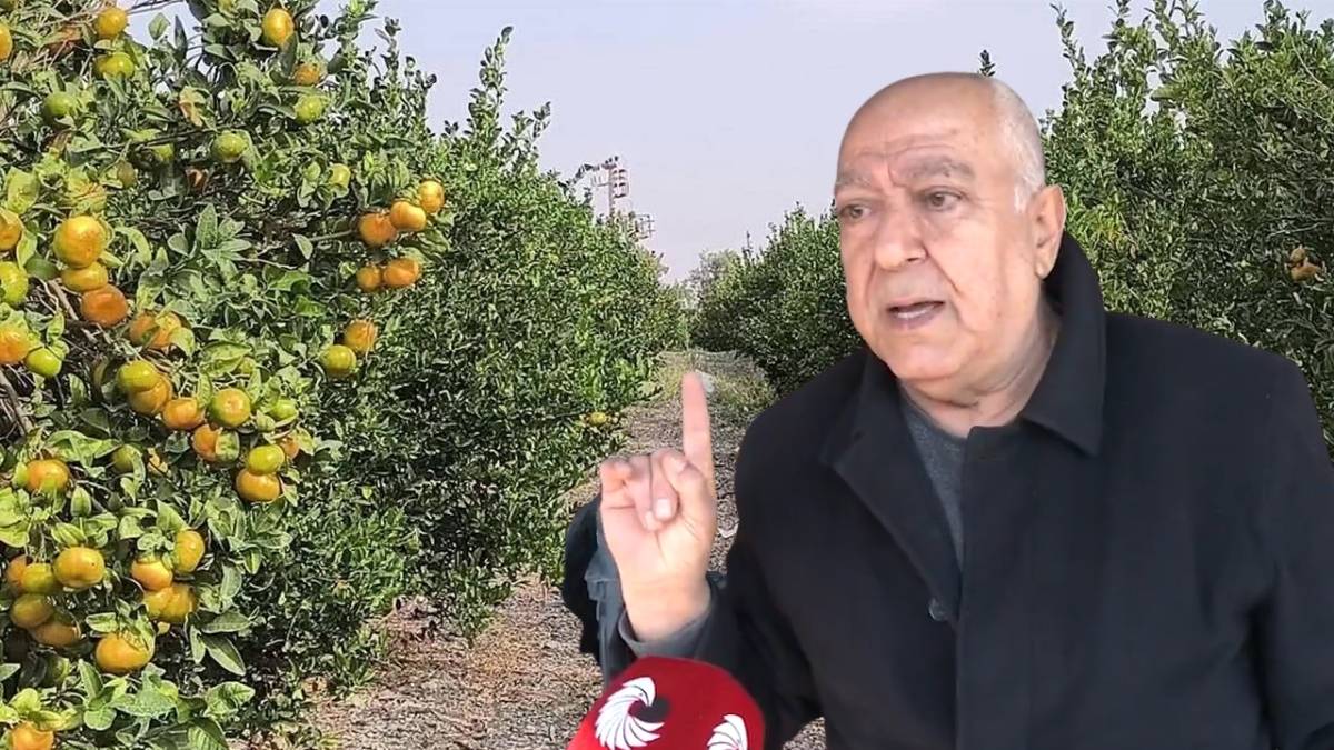 Akıl alır gibi değil: 1 ton satıp ancak 1 kilo kıyma alabiliyor! Çiftçi yaşadıklarına isyan etti