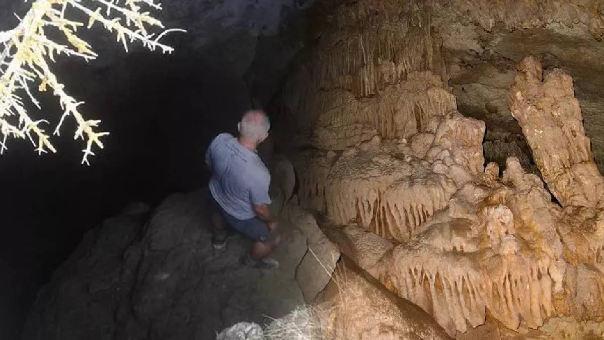 Aydın’ın saklı güzelliği! Halk arasında ‘Yaren’ deniyor, değeri hep gözden kaçırılıyor