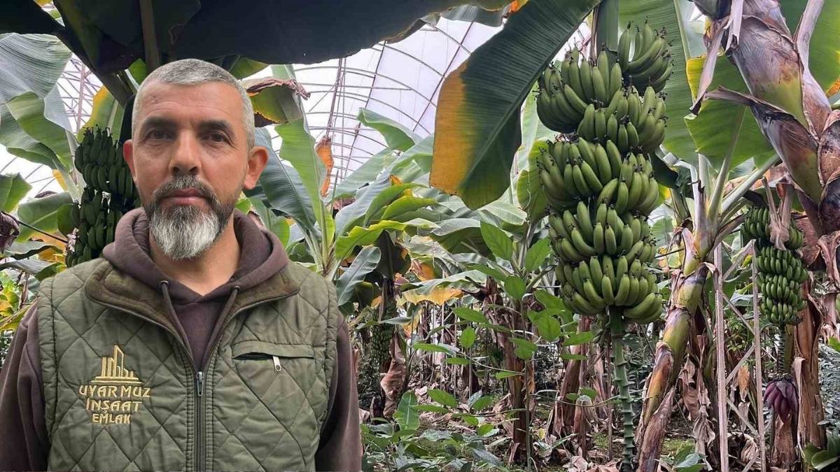 Yaz kış üretim yapıyorlar, tüm dünyaya ihraç ediyorlar! İhtiyacın yüzde 40’ı bu ilimizde karşılanıyor