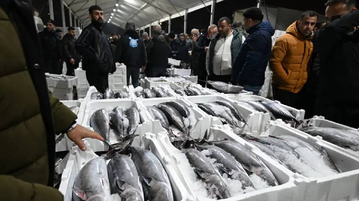 Herkes bekliyordu sonunda geldi! Tezgahların gözdesi oldu: Kilosu 700 TL’den satılıyor