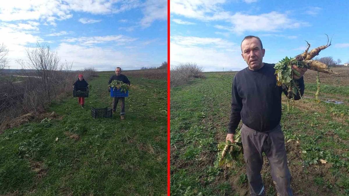 Toprağı ilmek ilmek işliyorlar, çocuklarına gelecek inşa ediyorlar! Yaz kış tarlada mesai yapıyorlar