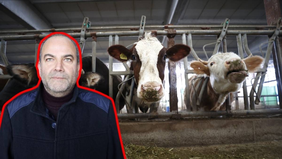 Depremde büyük zarar gördü, hayvanları tek tek telef oldu! Devlet desteğiyle işletmesine yeniden can verdi