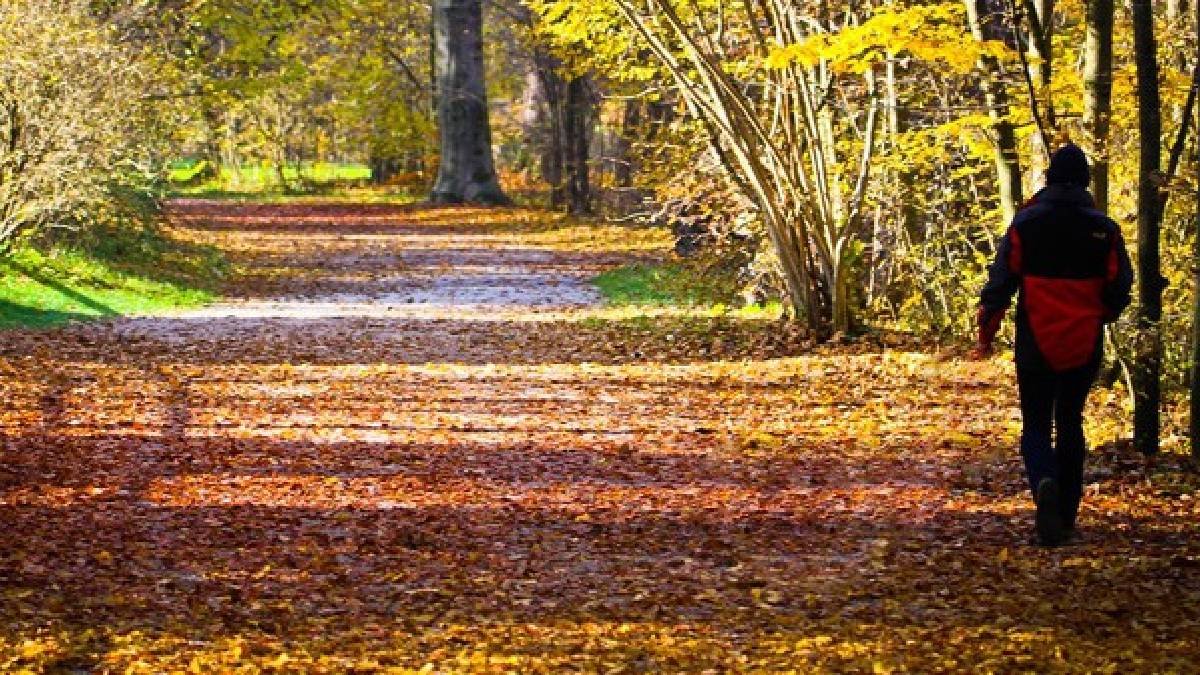 Bu alışkanlık ömre ömür katıyor: Sadece 5 dakikanızı ayırın, farkı anında yaşayın