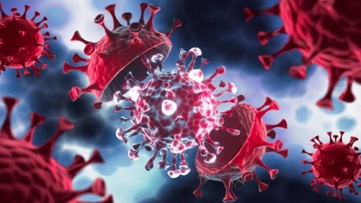 Pankreas kanserinde yeni umut: Mekanizma bozulunca tümörler küçüldü