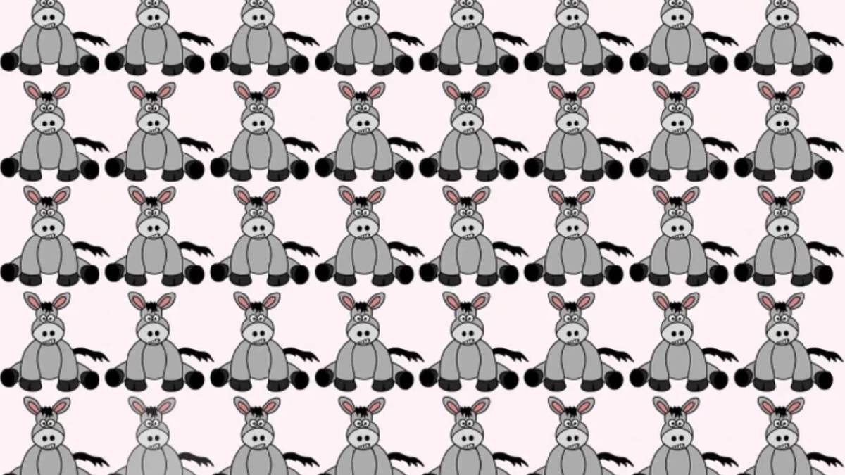 IQ sınırlarını zorlayan görsel bulmaca: 6 saniyede farklı eşeği görebilecek misiniz?