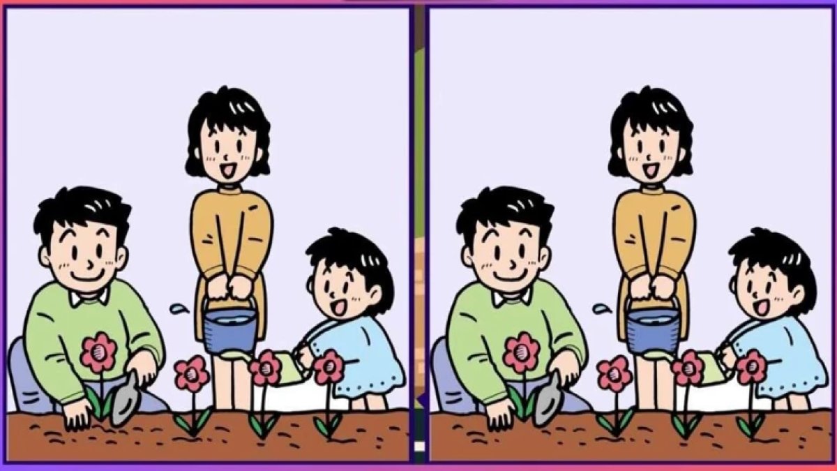 Sadece yüksek IQ’lular 14 saniyede çözüyor: Bu iki resim arasındaki 3 farkı bulabilir misiniz?