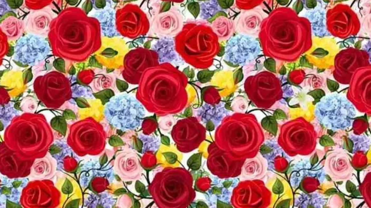 Güllerin arasına gizlenmiş zambağı seçebilir misin? Sadece dahilerin geçebildiği 5 saniye testi!