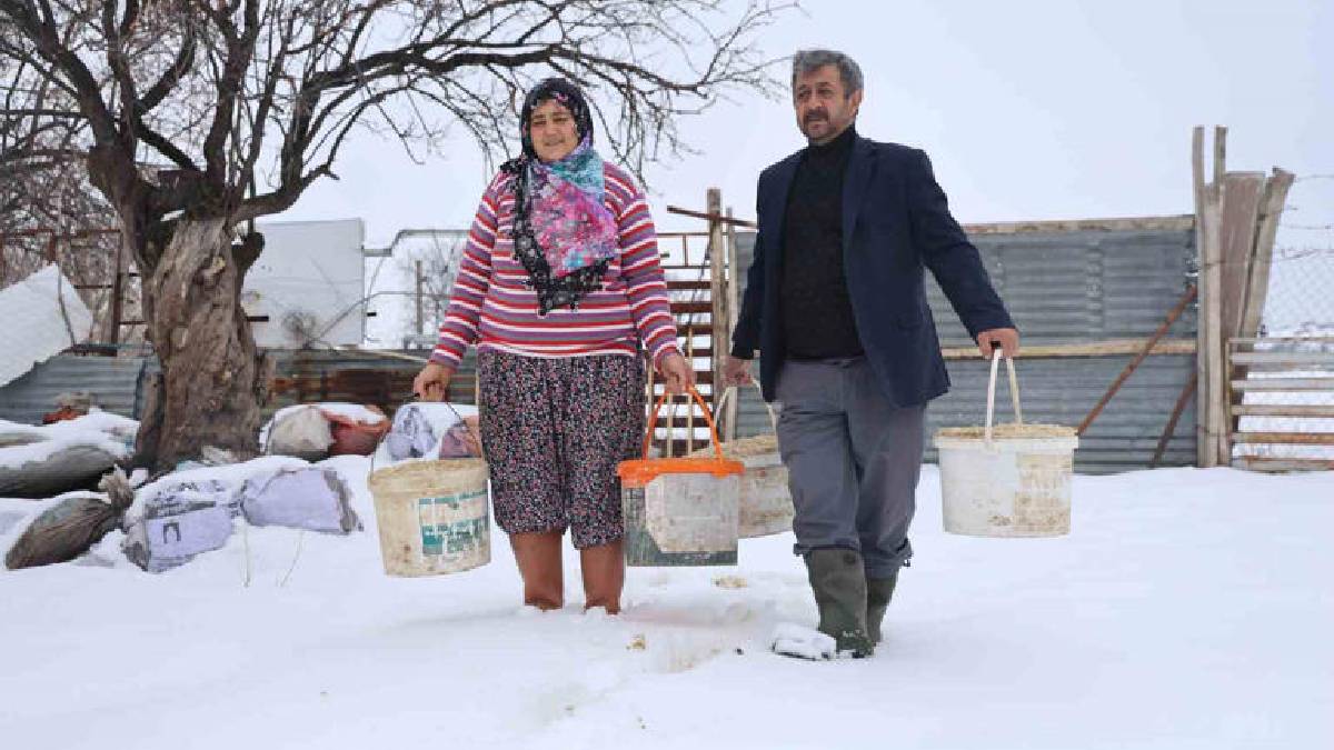 Dondurucu soğuk engel olmuyor, alın teri döküyorlar! Ağır kış şartlarının en açık tablosu: Besiciler durmaksızın çalışıyorlar