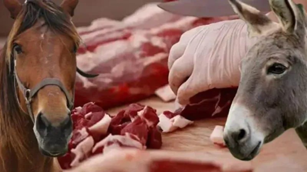 Tarım ve Orman Bakanlığı zincir market denetiminde büyük skandal: "Sokaktan geçene zorla çamur yedirmekle aynı şey"