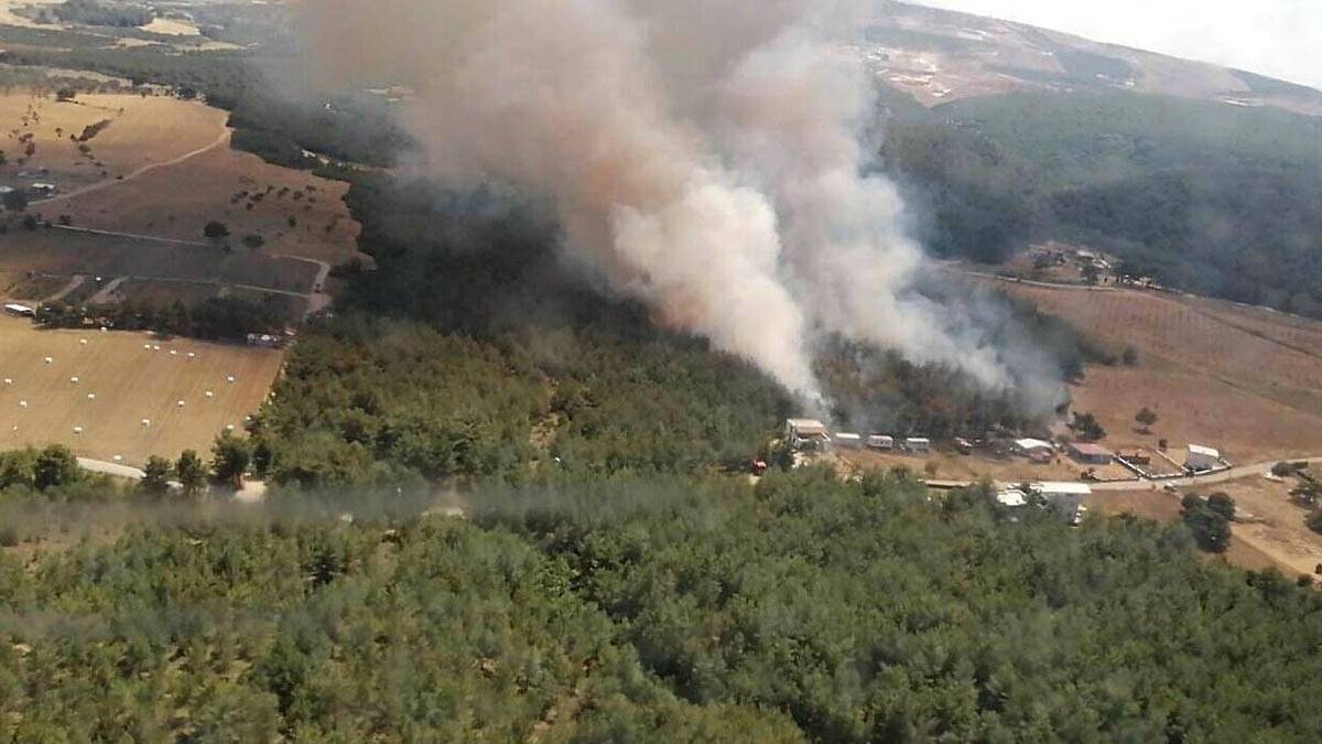 İzmir’de yanan orman arazisi tartışması: 6,2 milyarlık ihale