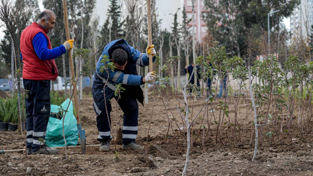 Betonun arasından orman çıktı