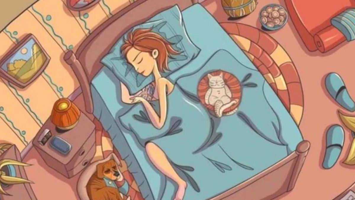 Sadece dahiler 9 saniyede görüyor! Bu görseldeki gizli tavşanı bulabilecek kadar keskin gözlere sahip misiniz?