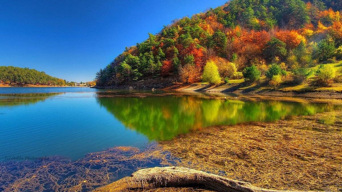 Doğanın zamana meydan okuduğu adres! Travertenlerin içindeki doğal oluşum: Yerli yabancı herkes akın ediyor