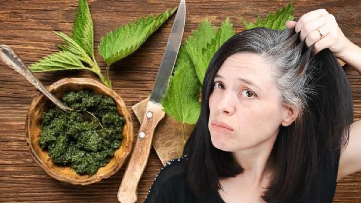 Beyaz saçlara "dur" diyen mucize! Anneannelerin asırlık reçetesi: Kimyasal olmadan doğal yollarla çözüm