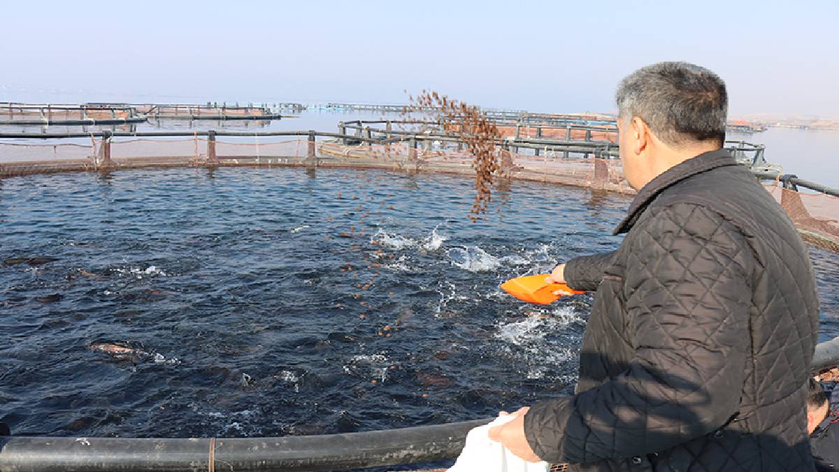İş yerini kapattı, nehirde üretmeye başladı! Kazancı milyonları buluyor, Japonya ve Çin’e gönderiyor