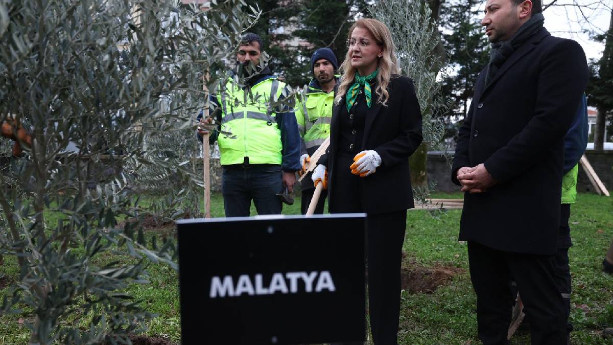 Bakırköy’de 11 ili temsilen 11 zeytin fidanı dikildi