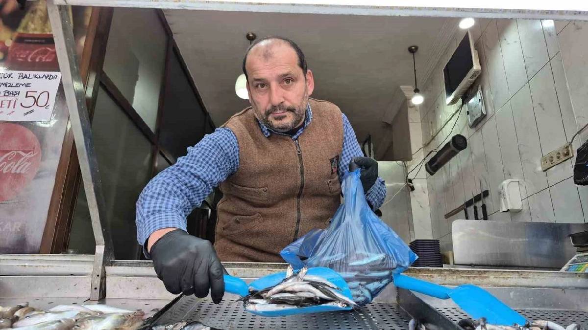 Hamsi azaldı tezgahlar istavritle coştu! Karadeniz’in yeni gözdesi: Sofraları şenlendiriyor