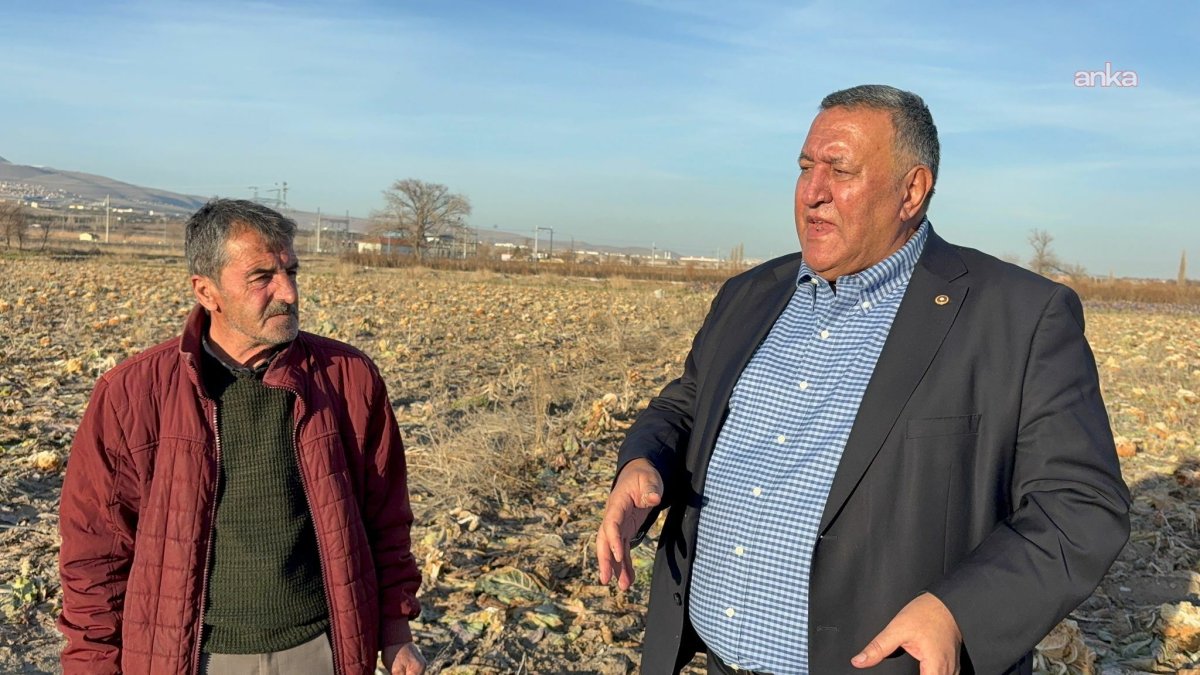 CHP’li Gürer: “Türkiye’nin kesinlikle bir israf seferberliği başlatması lazım”