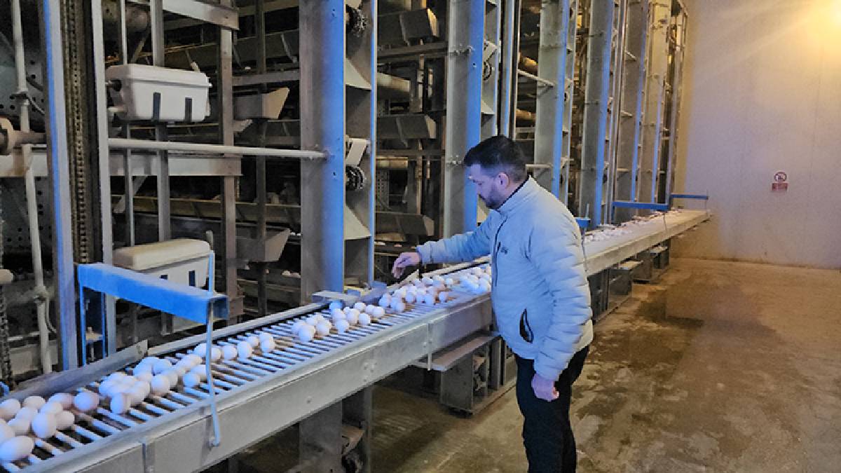 Devlet desteğiyle kurdu, kazancını katladı! Taze taze üretiyor, Doğu Anadolu ve Doğu Karadeniz’in ihtiyacını karşılıyor