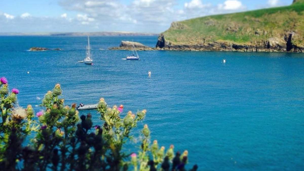 Şartları karşılayın burada huzurla yaşayın! Doğa tutkunları için biçilmiş kaftan: Gören bile hayran kalıyor!