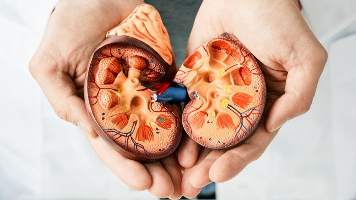 Bilim insanlarından yeni beslenme önerisi! Böbrek hastalığı riskini en aza indiriyor