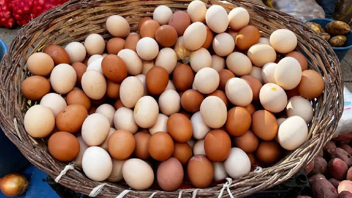 Beyaz mı kahverengi mi? En sağlıklı yumurta belli oldu