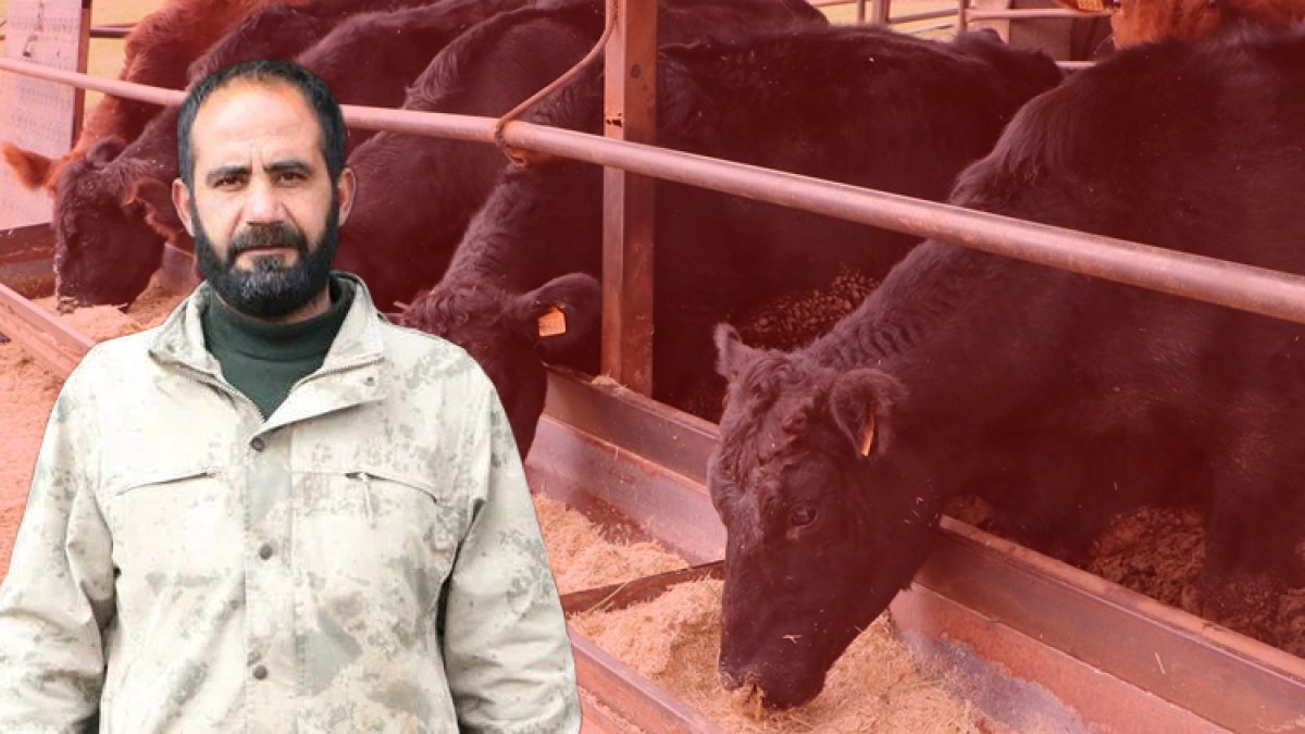 Kilisli yetiştirici devlet desteğiyle hayvan sayısını kısa sürede 27'ye çıkardı